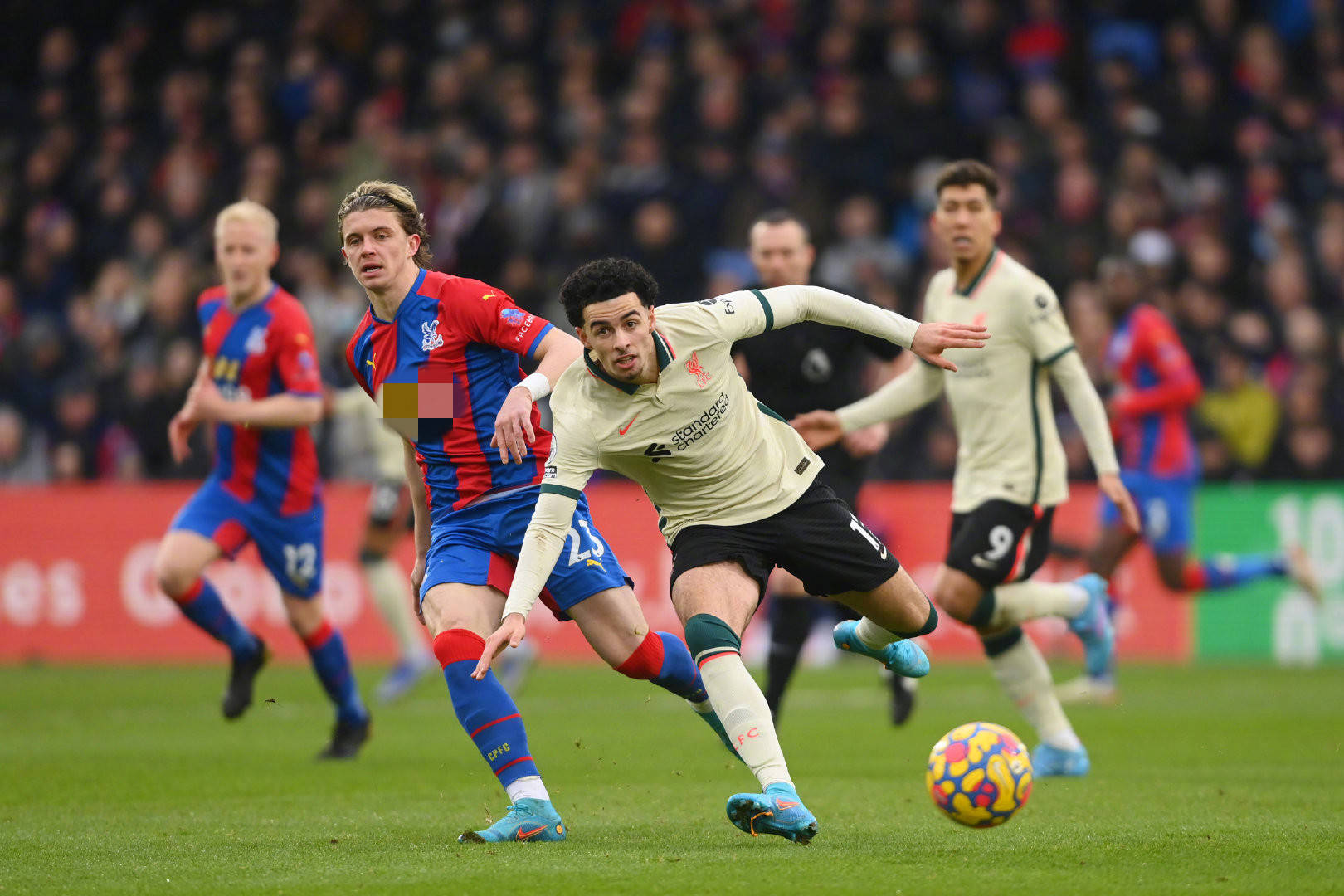 何应对缺席 何应对缺席